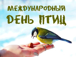 Международный День Птиц!.