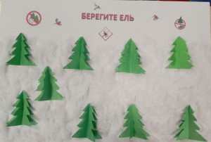 Акция "Берегите Ель" Акция "Берегите Ель".