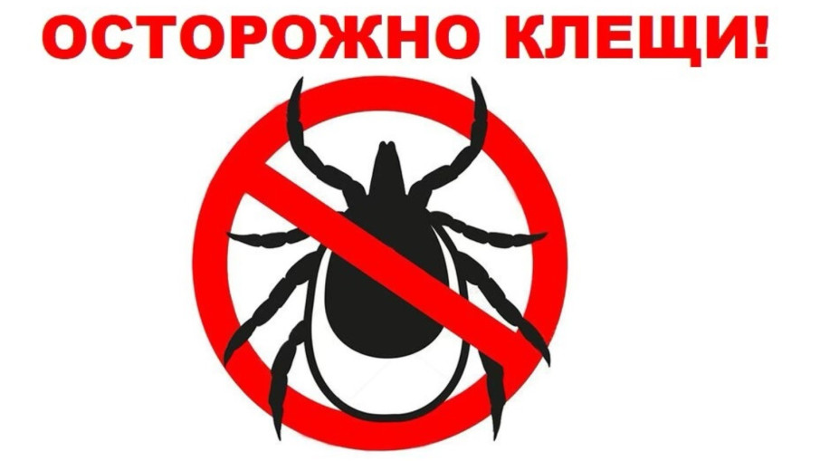Осторожно, клещи! Осторожно, клещи!.